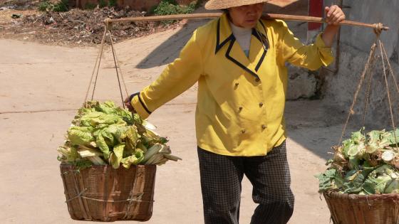 Declining within- and across-village risk sharing in rural China