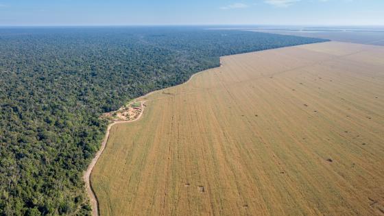 Deforestation in Brazil