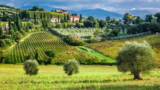 Tuscany